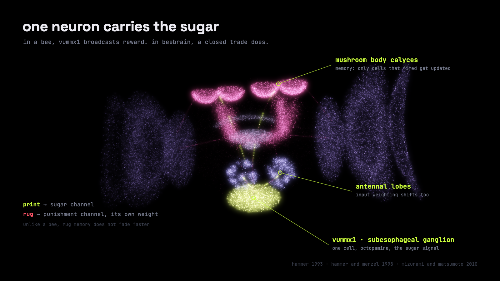 vummx1 and the sugar and punishment channels