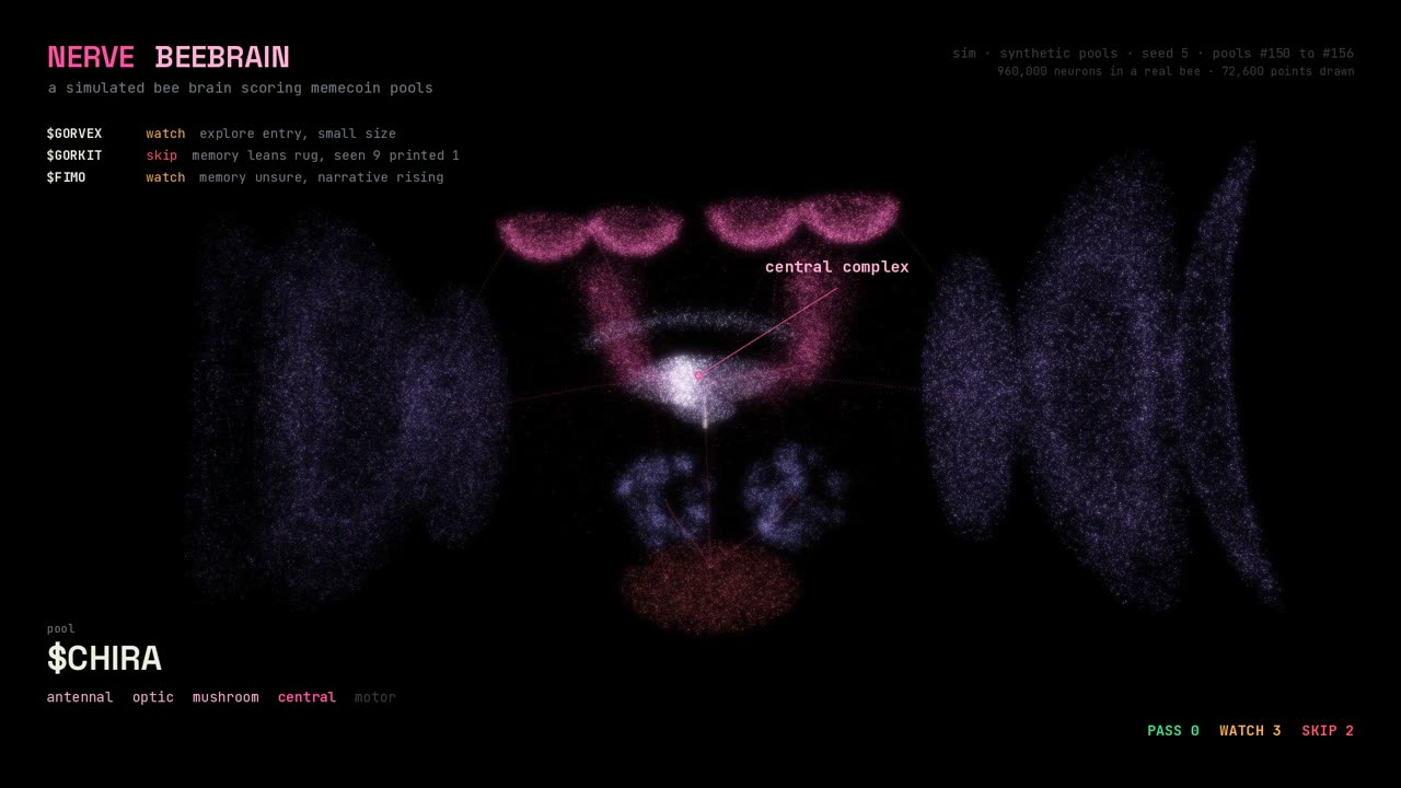 the point cloud honeybee brain with a pool passing through the central complex